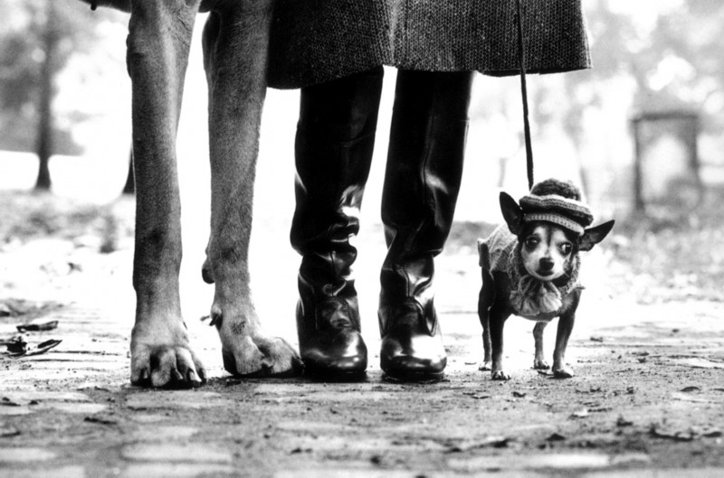 elliot-erwitt